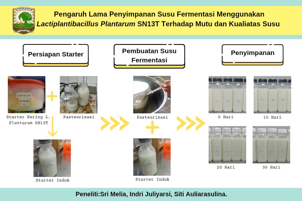 Pengaruh Lama Penyimpanan Susu Fermentasi Lactobacillus plantarum SN13T Terhadap Mutu dan Kualitas Susu Fermentasi